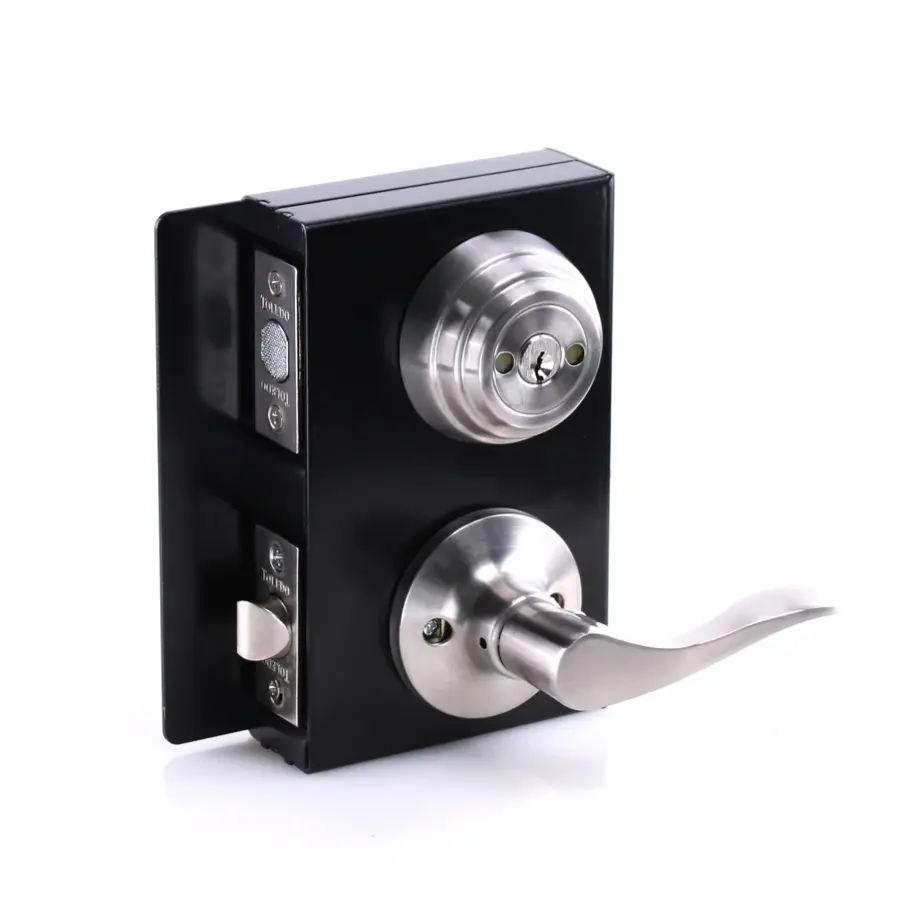 Deadbolt & Lever (Stainless Steel)